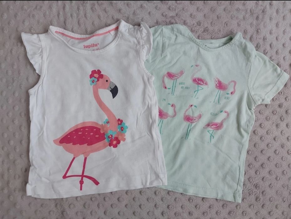 Reserved bluzka letnia r. 74/80 flamingi koszulka t-shirt Lupilu