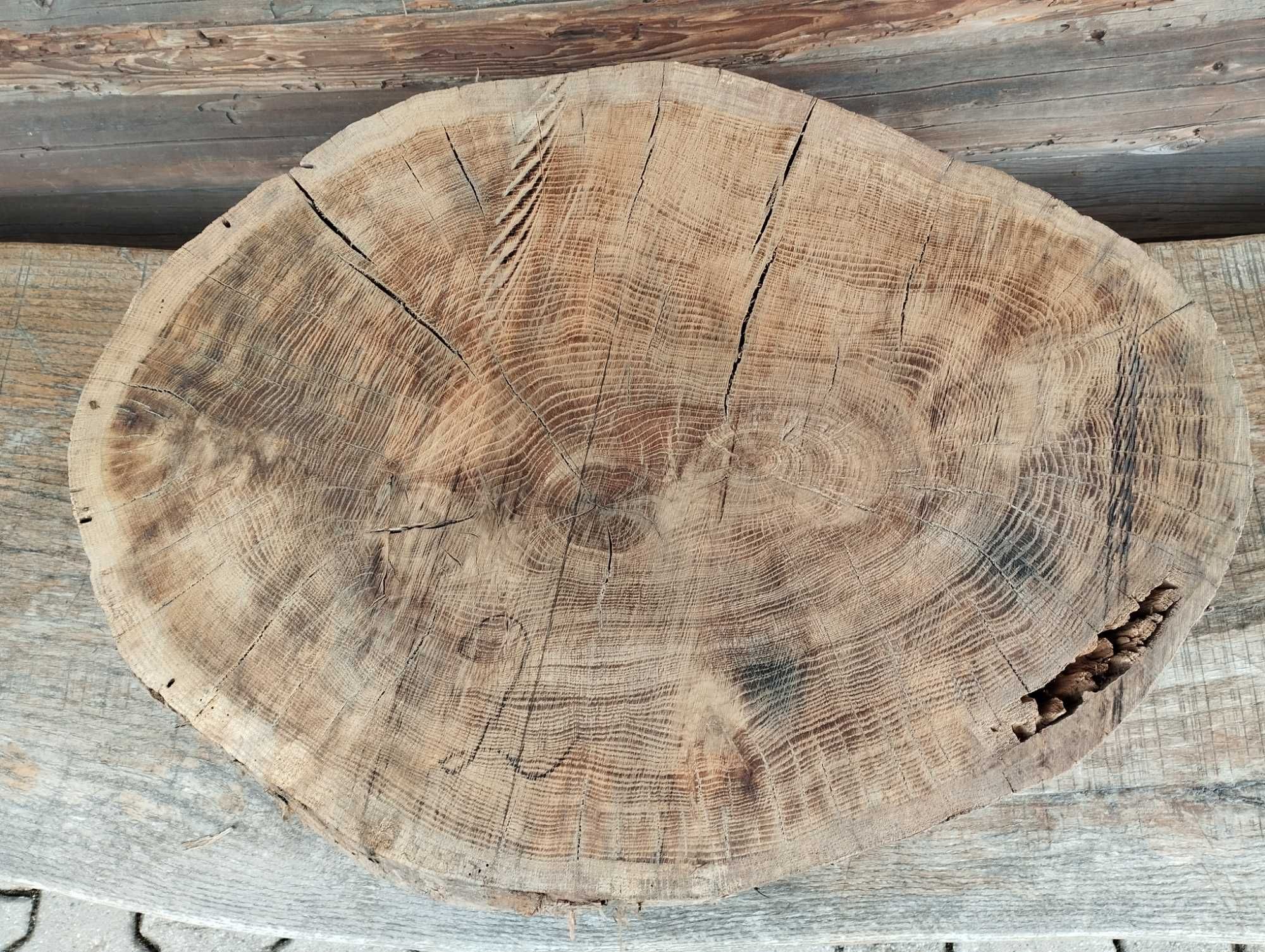 Hit! Plaster Drewna Duży Solidny Dąb pow. 50cm!