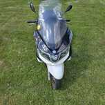 Suzuki burgman  piaggio