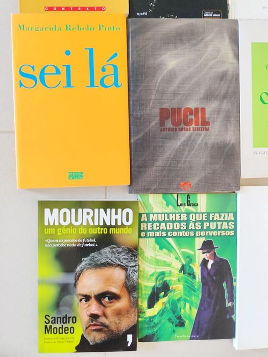 Lote de livros de autores portugueses (Alves Redol / Tiago Rebelo)