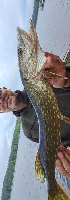 domek letniskowy Mazury Las jezioro