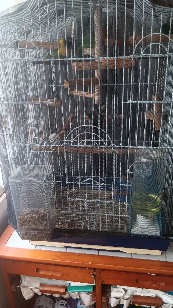 Gaiola assesorios e dois pássaros