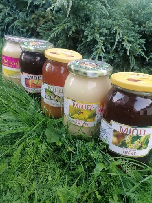 Miód Pszczeli Naturalny