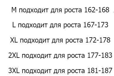 Зимова чоловіча термобілизна The North Face Flashdry