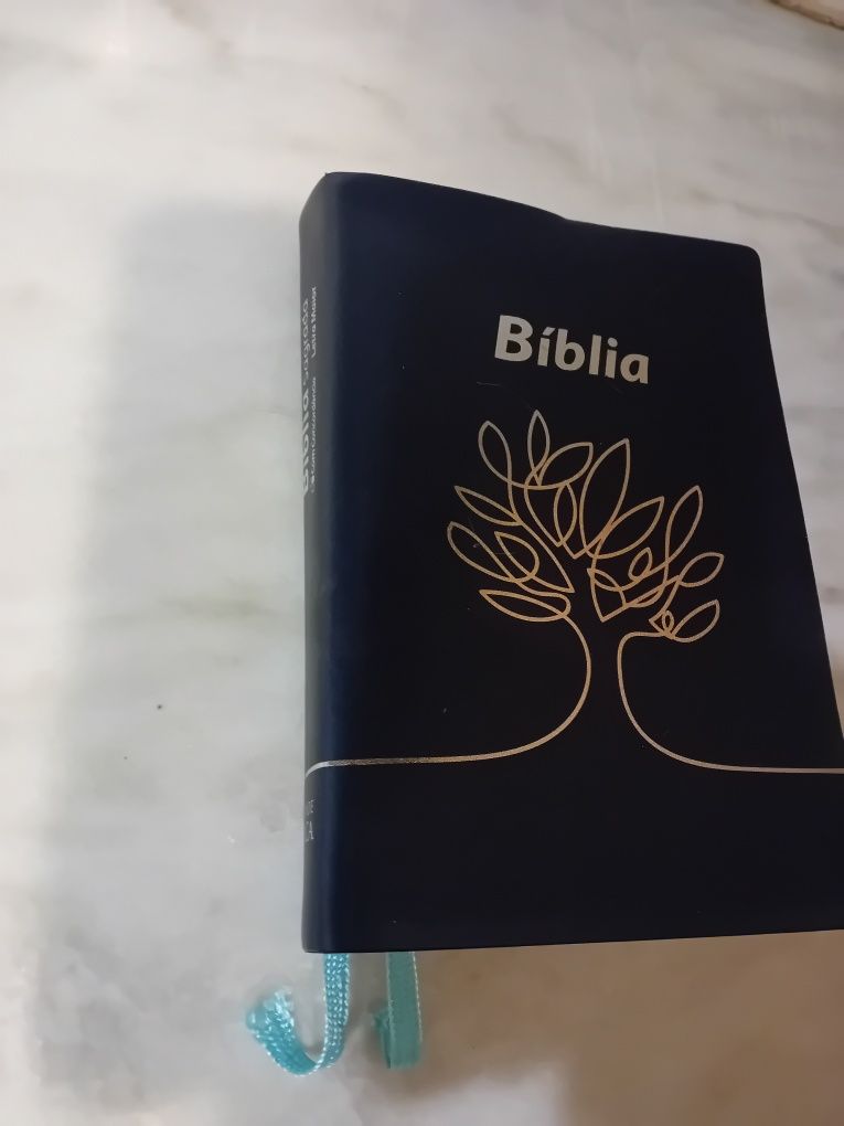 Bíblia Sagrada Sociedade Bíblica