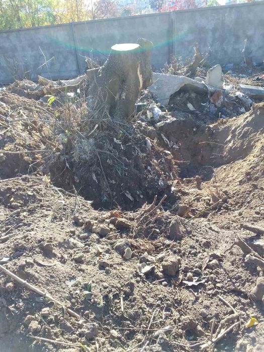 Видалення аварійних дерев Благоустрій Демонтаж.Є послуги ЩЕПОРІЗА