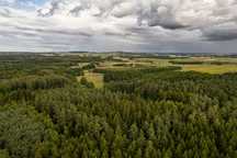 Działki rolne , rekreacyjne , Mazury , wieś