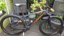 Trek Procaliber 9.7 L