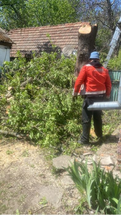 Покос трави бурʼяну