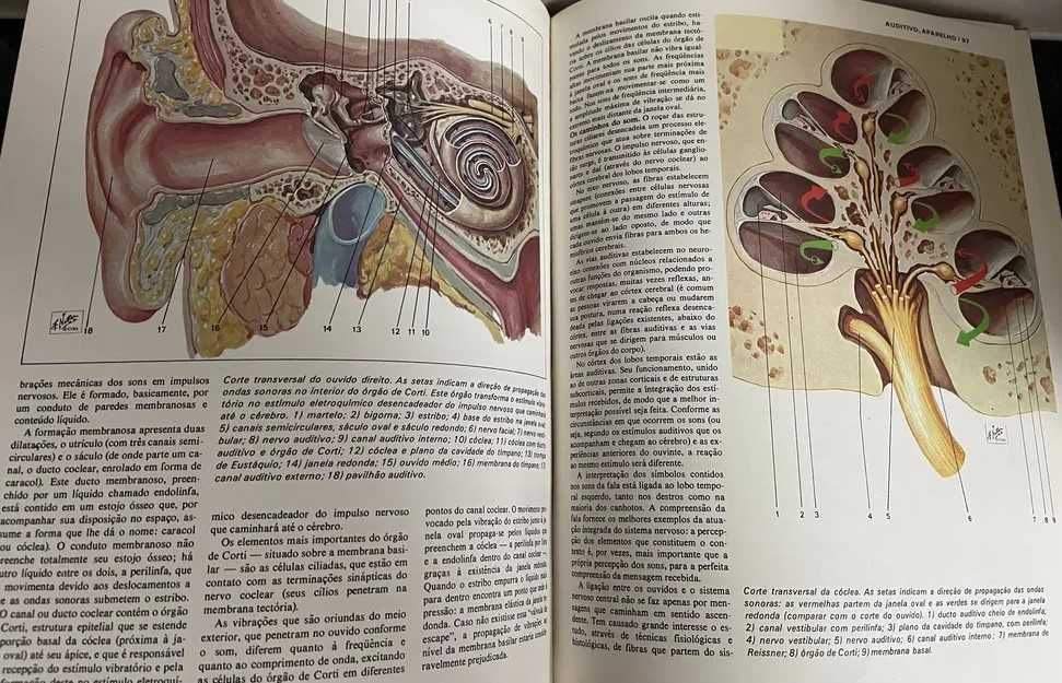 Grande Enciclopédia Médica (6 Volumes)
