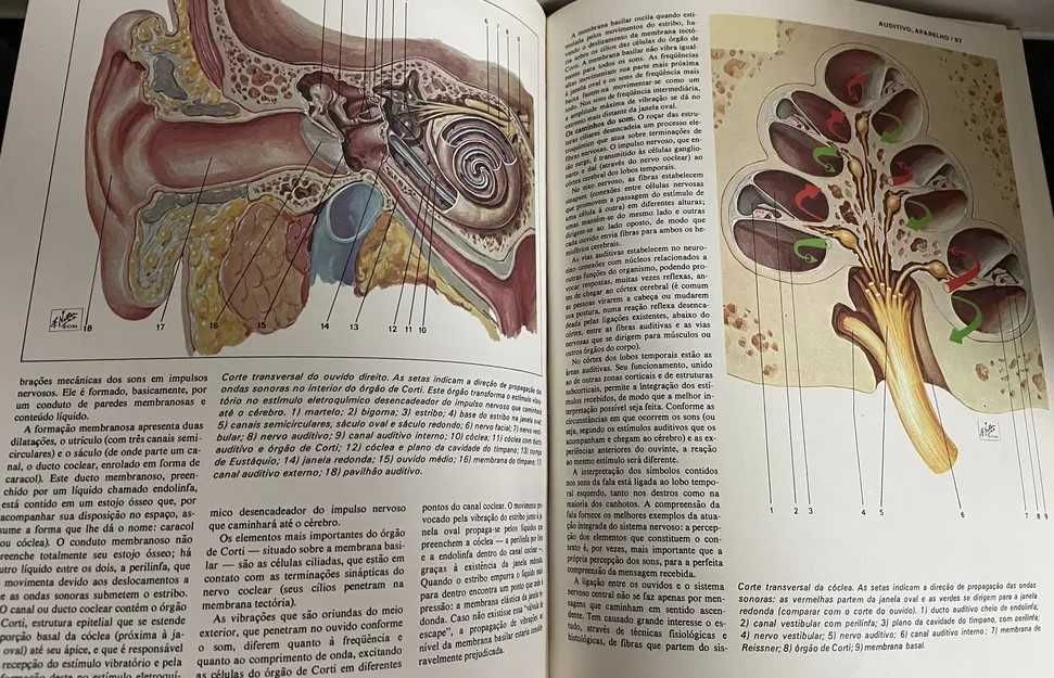 Grande Enciclopédia Médica (6 Volumes)