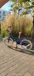 Rowerek 3-6 lat Btwin 900 City