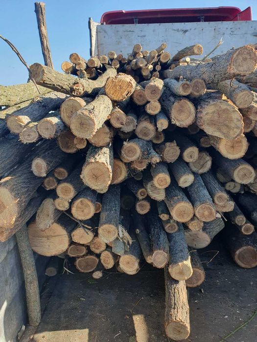 Продам дрова акації та груші