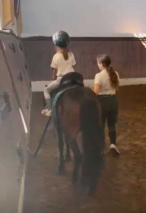 Festa de Aniversário com cavalos