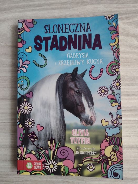Słoneczna Stadnina. Gabrysia i Zrzędliwy Kucyk. Książka Dziecięca
