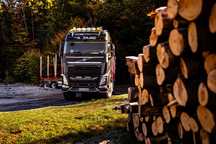 Volvo FH 540 Epsilon do transportu drewna - Niski przebieg!