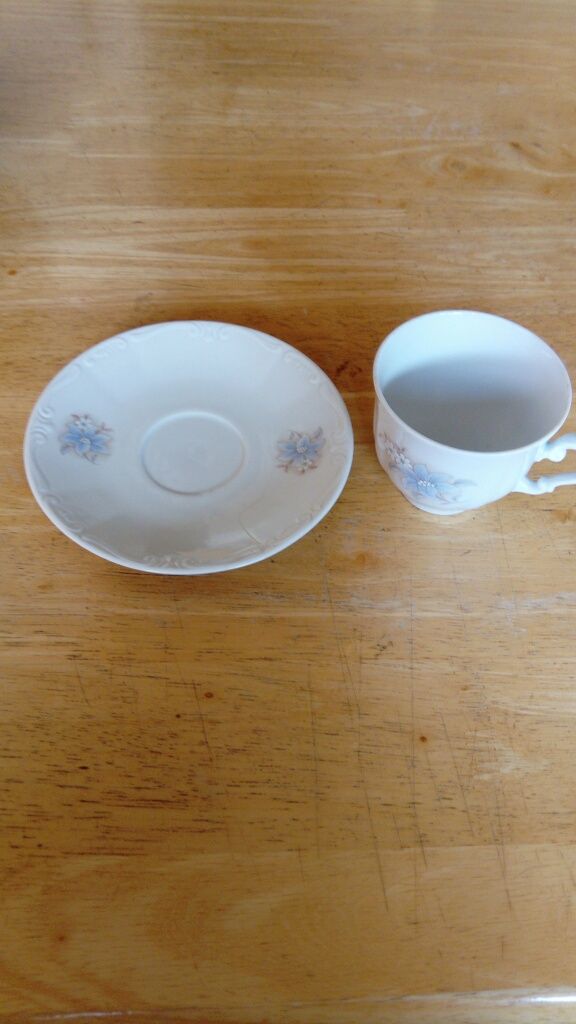 Chávena e prato em porcelana