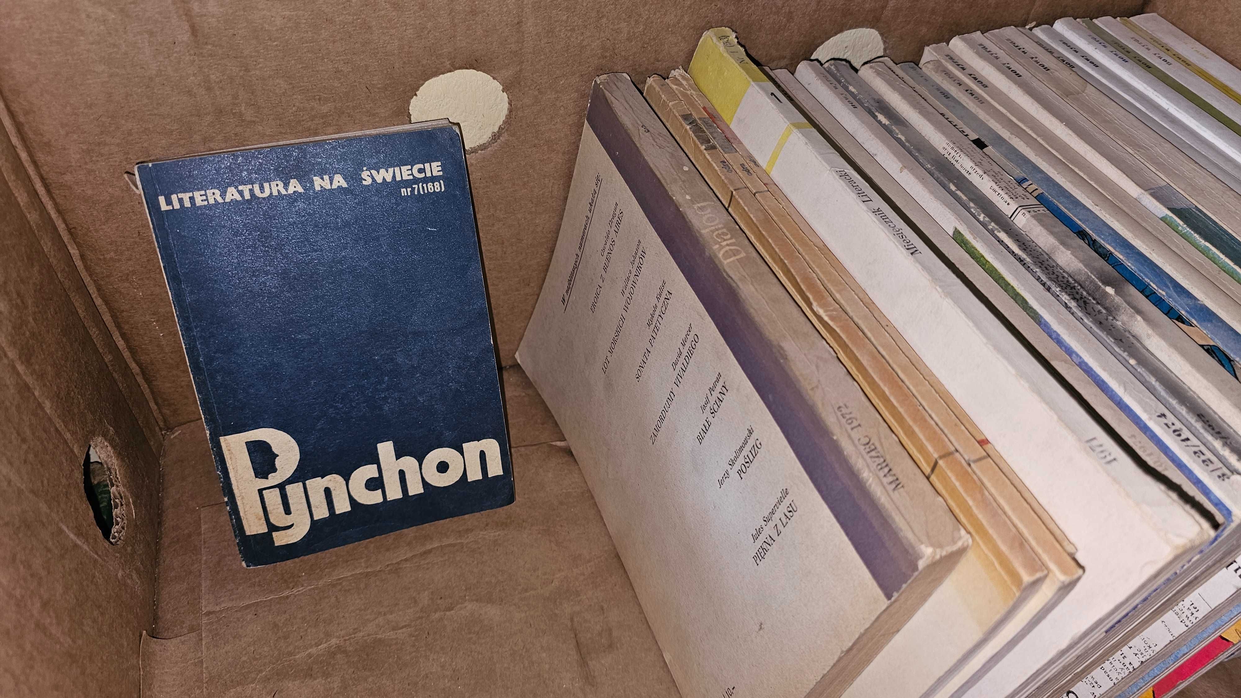 AF Literatura na świecie nr 7 (168) Pynchon 1985