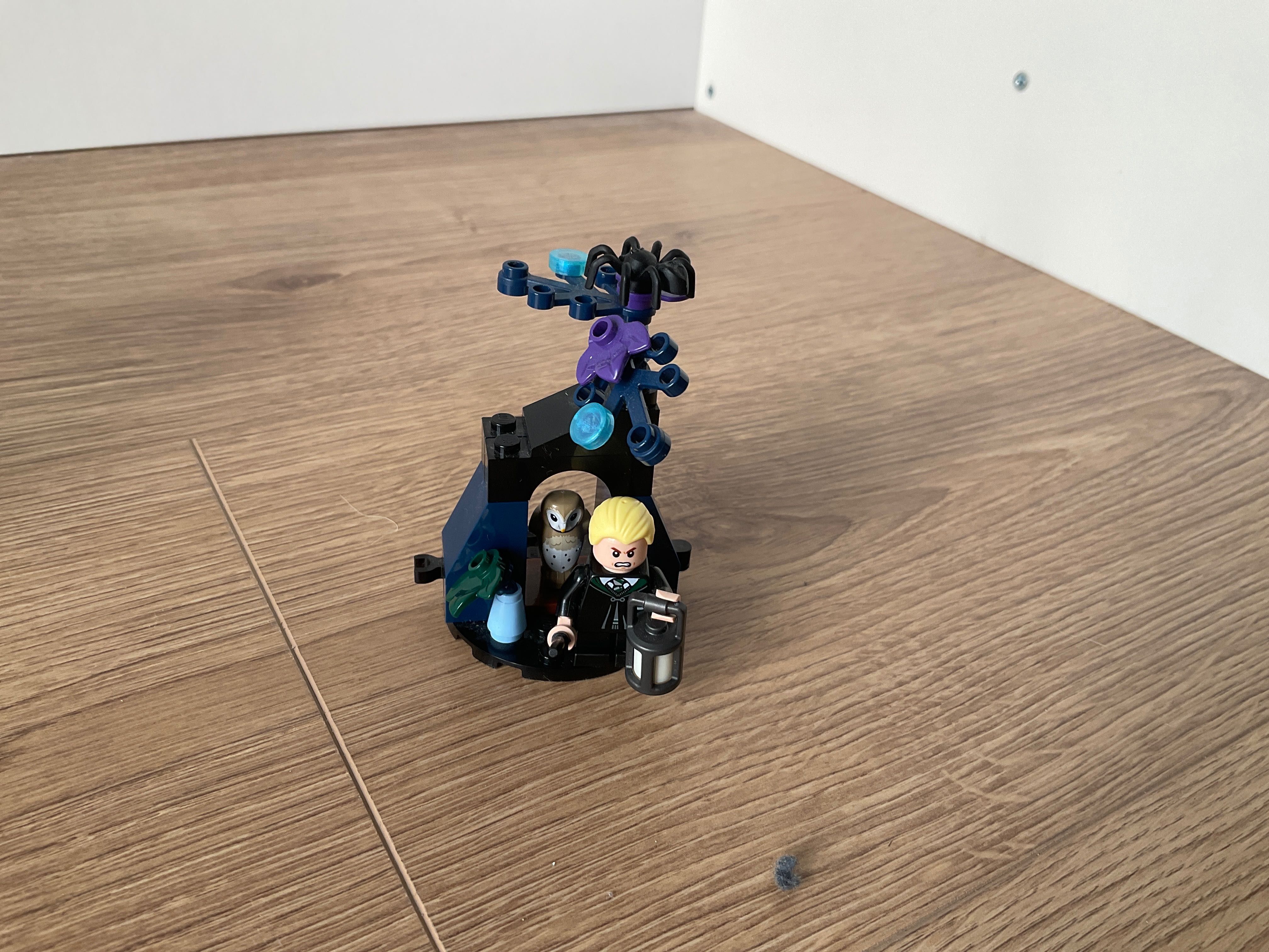 Klocki LEGO Harry Potter Aragog w Zakazanym Lesie 76434 + 30677