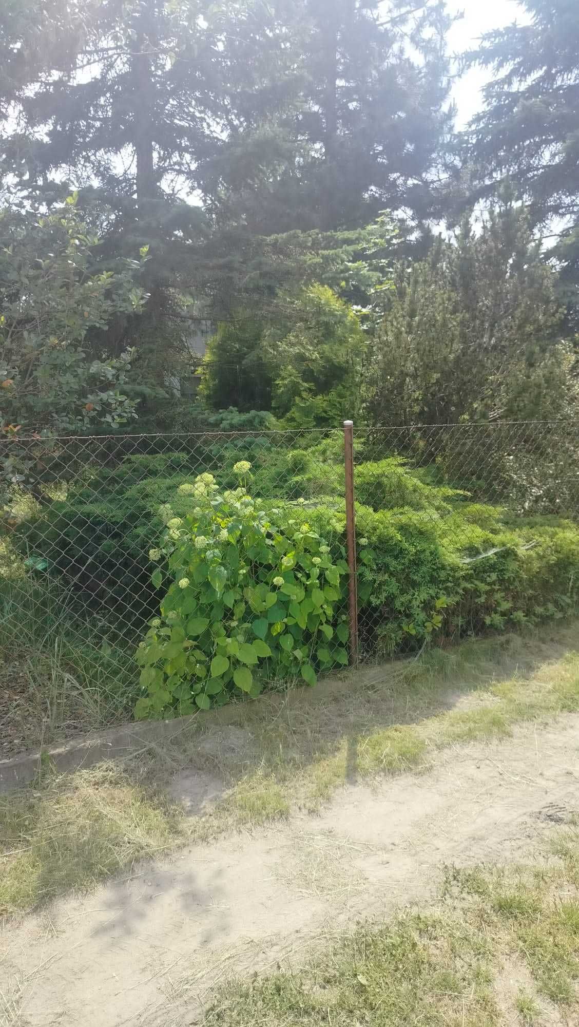 DZIALKI  R.O.D  jedna 400 m z domkiem i dwie polaczone 800 m