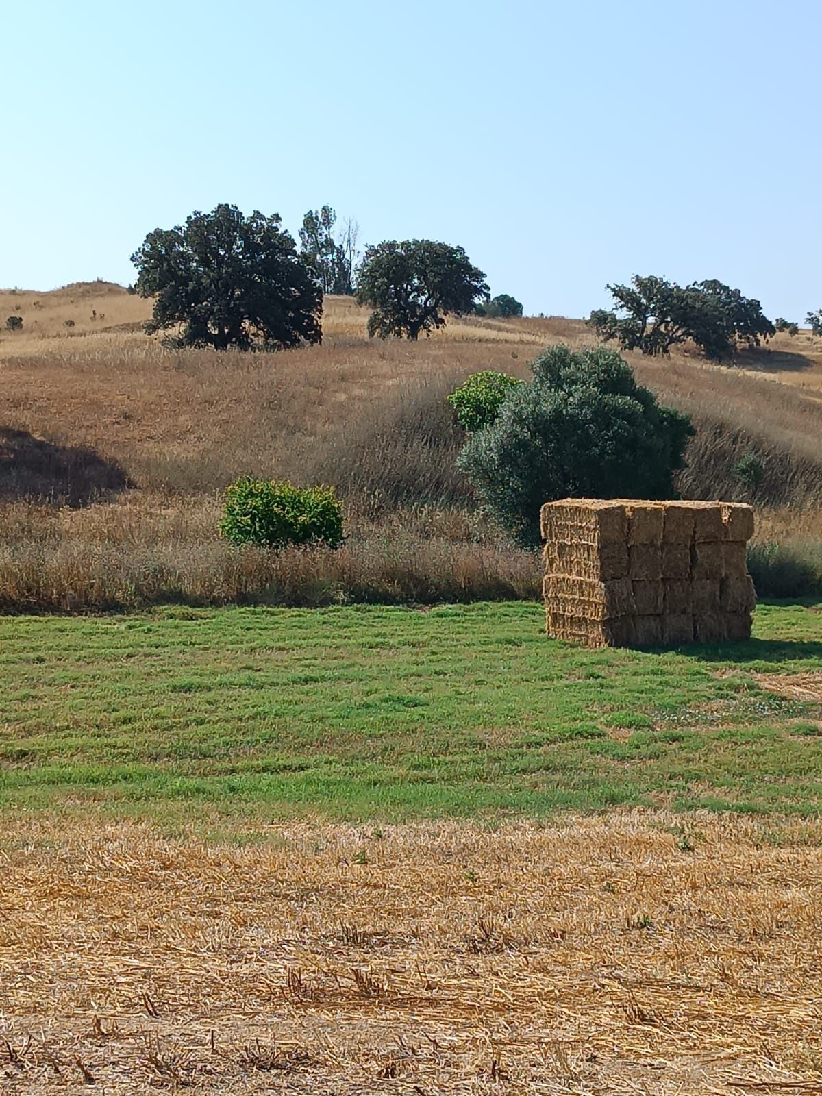 Herdade de 27 hectares