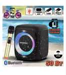 Портативна Bluetooth колонка Hopestar PARTY 100