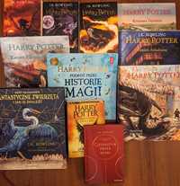 Książka Harry potter - Quidditch przez wieki.