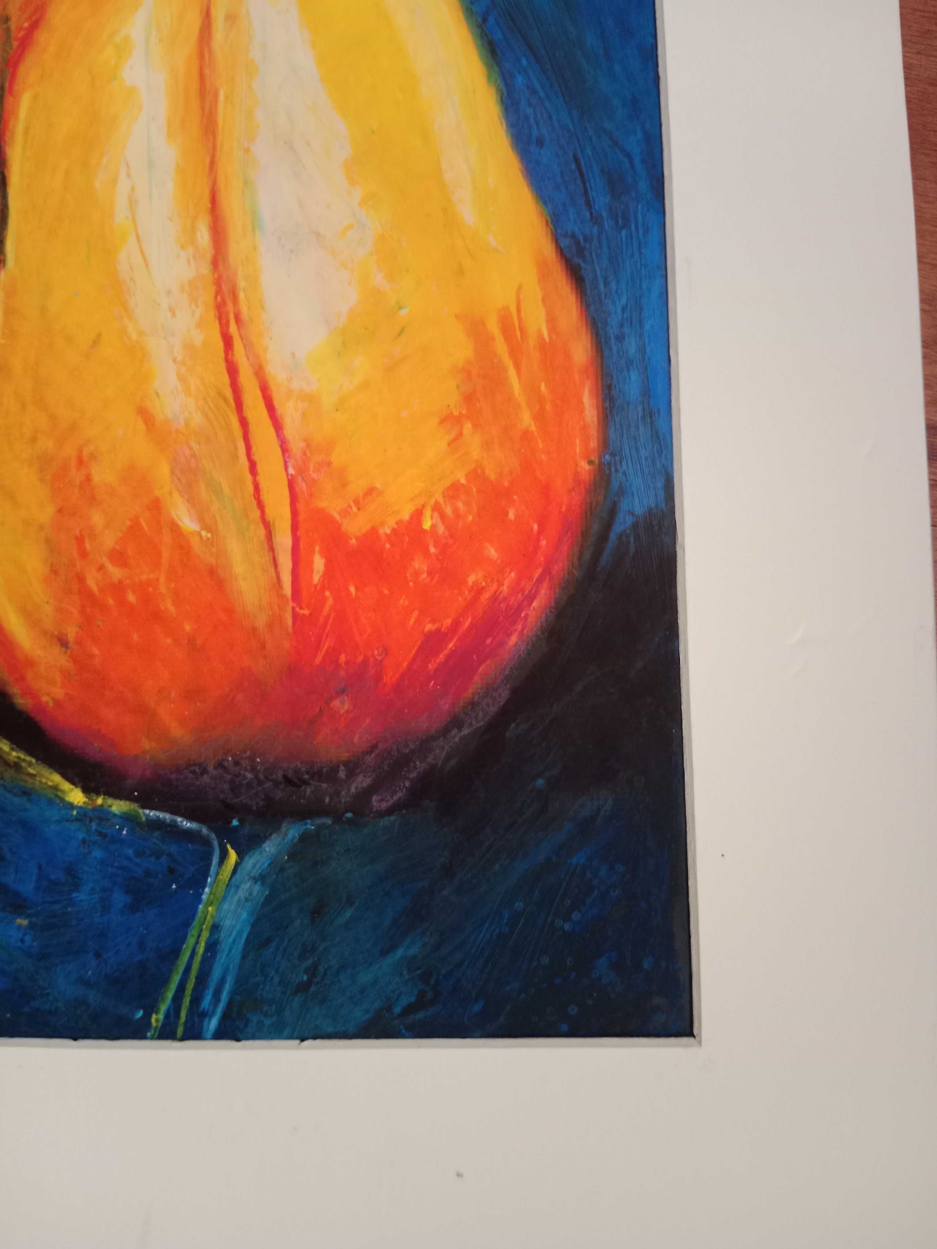 Letni majowy tulipan