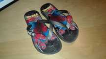 Chinelos Havaianas n 27