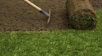 Trawa z rolki - piękny trawnik w jeden dzień - Trawnik PREMIUM Żywiec