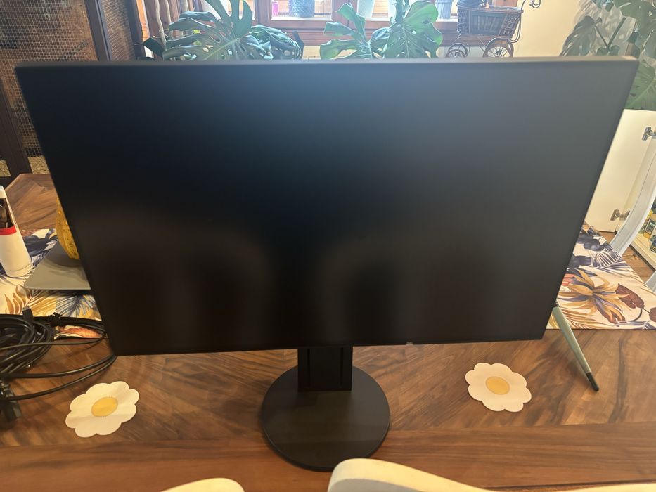 Monitor Flexacan EV2456 komplet bdb stan