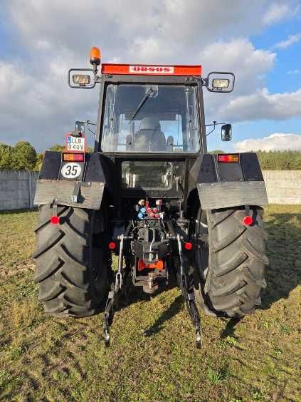 Ursus Bison 416 (1634)