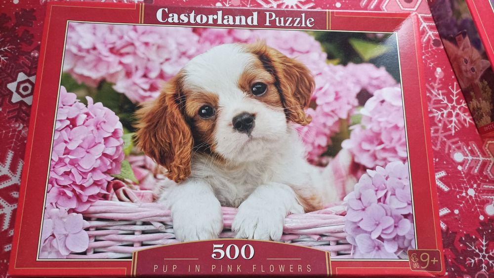 Пазли 500  деталей Castorland