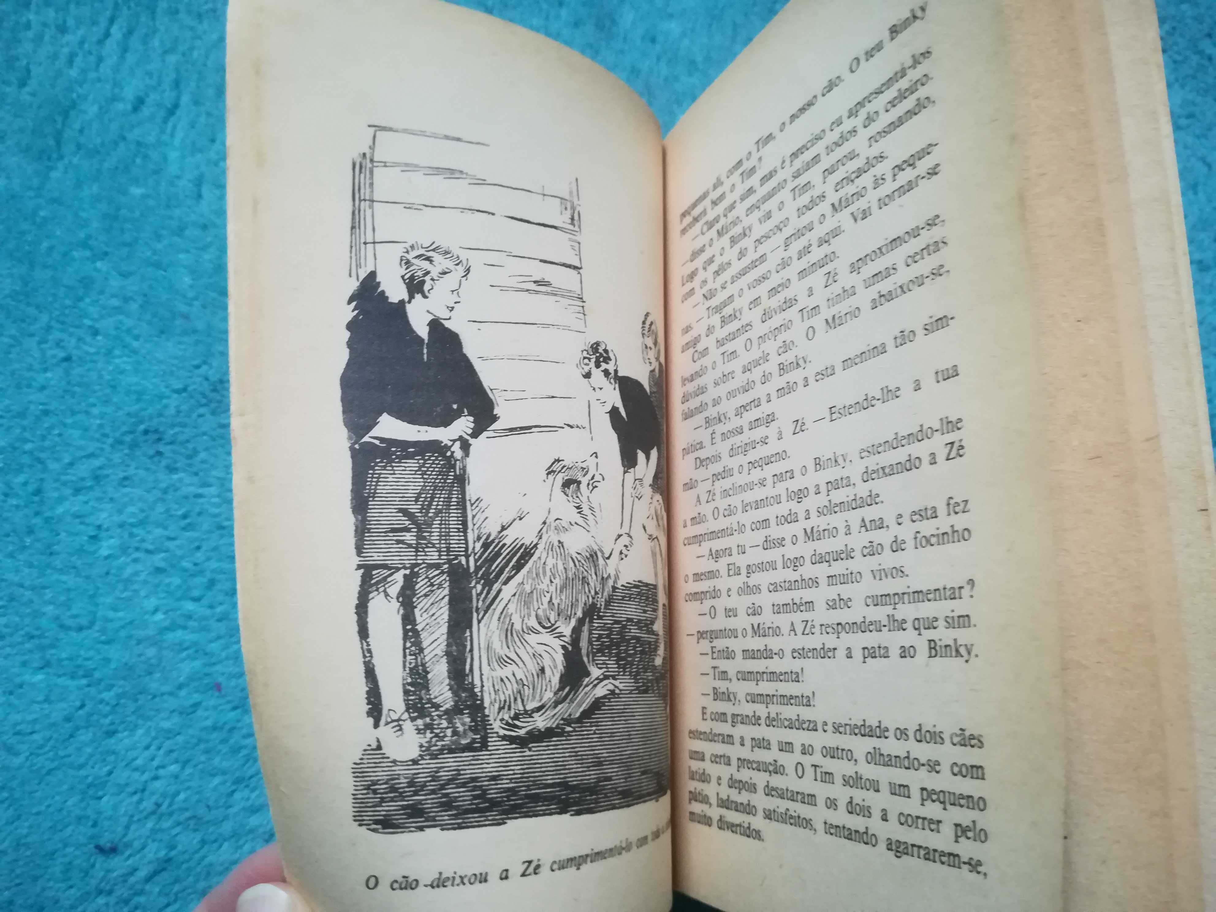 Livros antigos Enid Blyton - Os Cinco