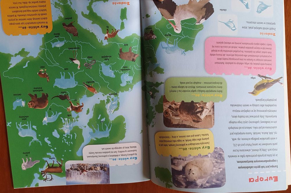 Odkrywaj i poznawaj świat. Atlas świata zwierząt