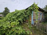 Продам дом в селе писки возле Иванкова
