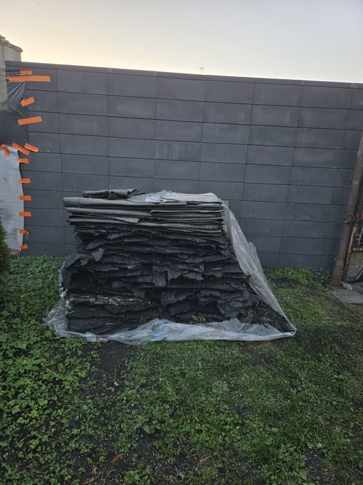 Papa z dachu - oddam