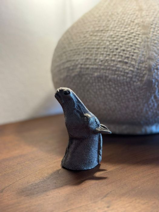 Abra caricas cápsulas saca cabeça de cavalo