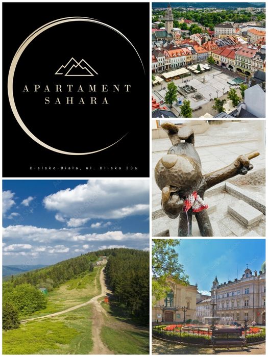 Apartament z klimatyzacją pod Szyndzielnią na wynajem