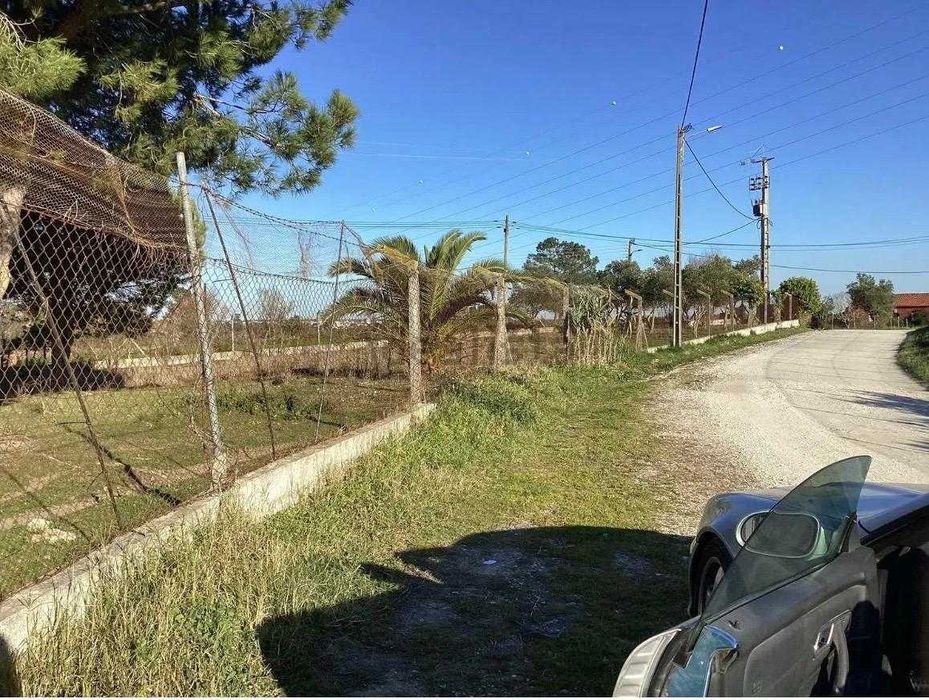 Quinta Pontével- Cartaxo 17.700m2