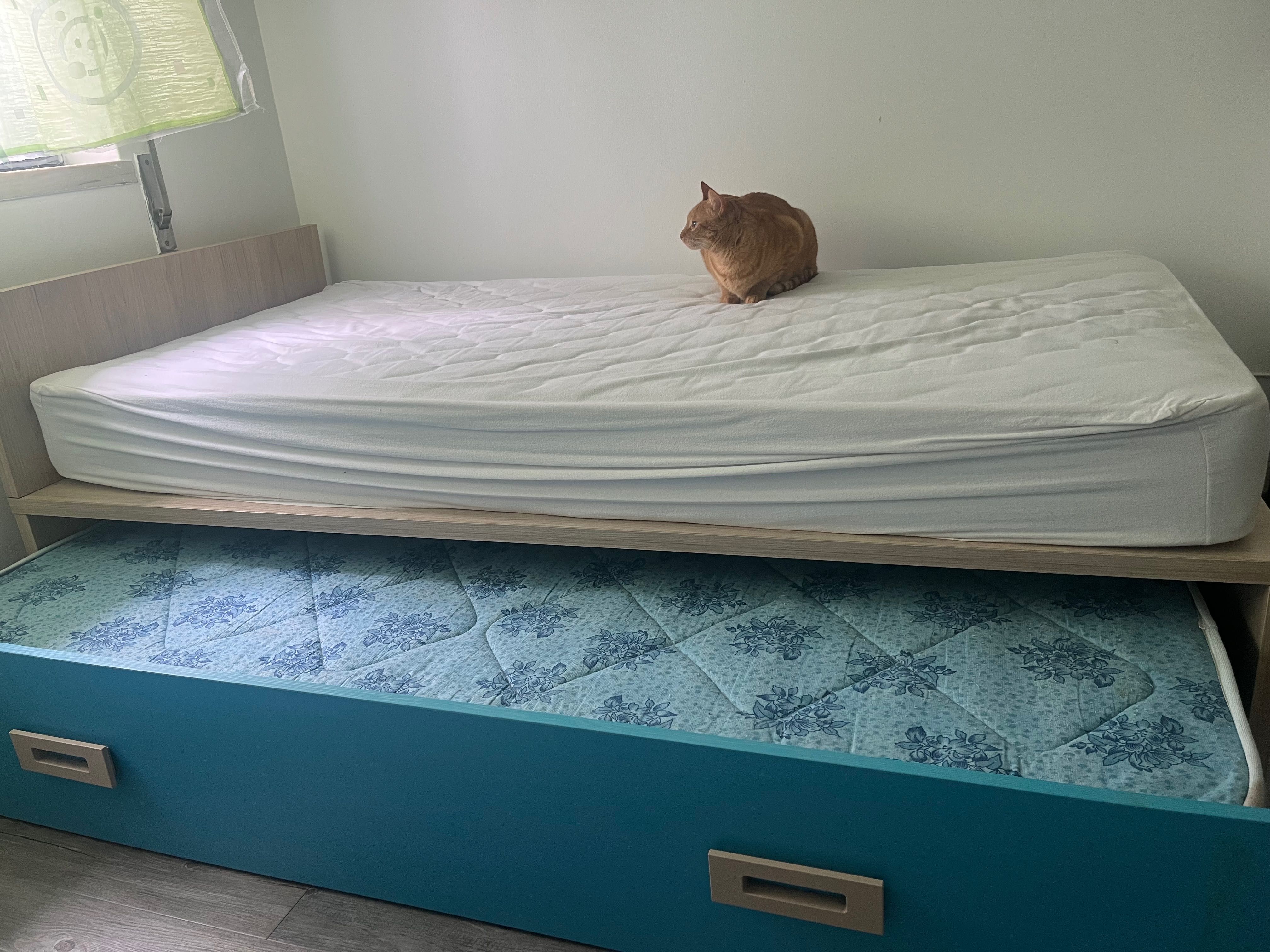 Cama individual com gaveta cama
