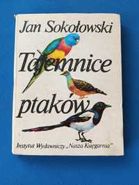 Tajemnice ptaków Jan Sokołowski