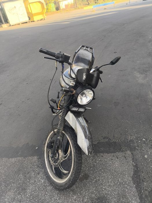 Mustang dingo 125