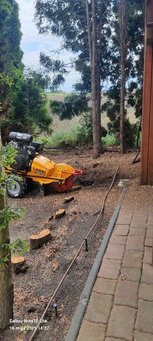 Wycinka drzew Frezowanie pni wywóz gałęzi zrębka