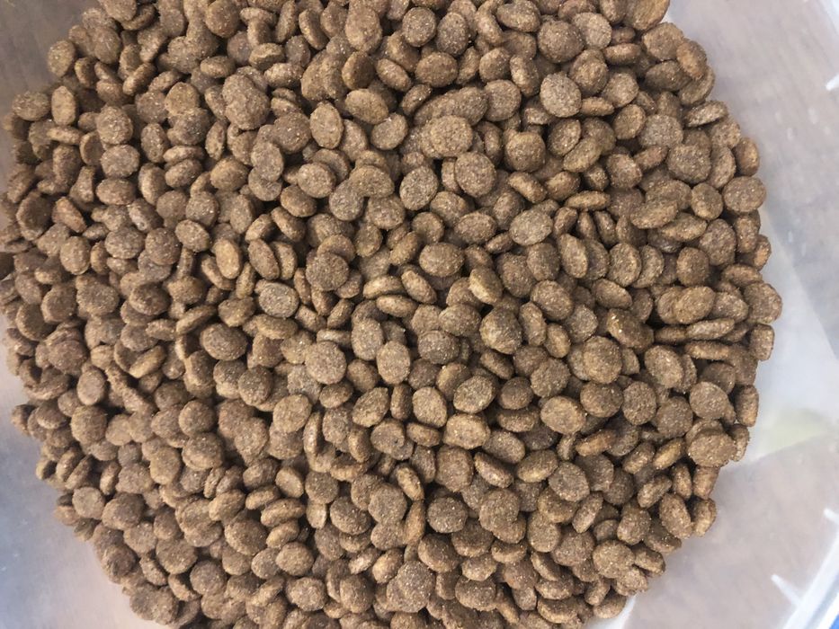 Корм для собак маленький