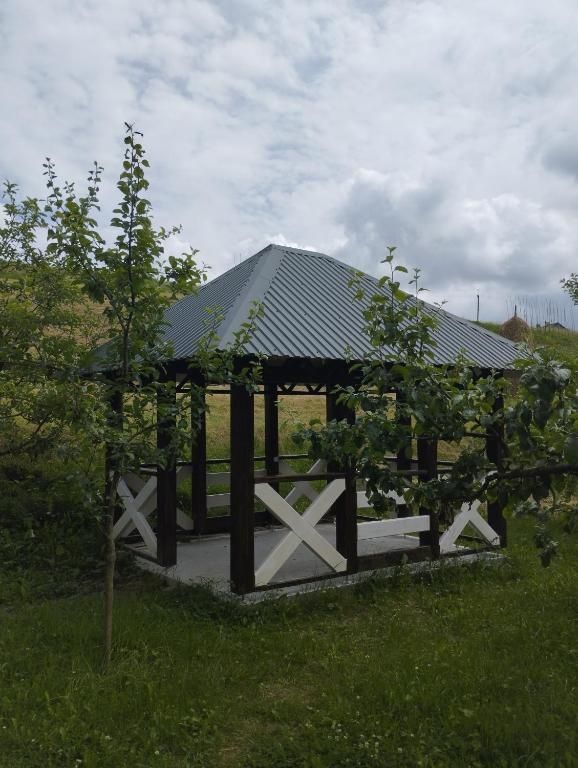 Відпочинок в Карпатах