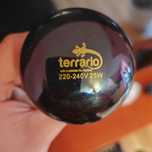 Żarówka do terrarium noc 220-240v 25 w