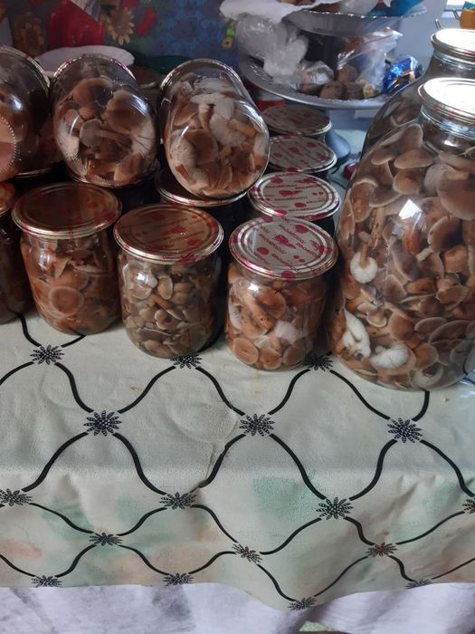 Гриби  білі мариновані