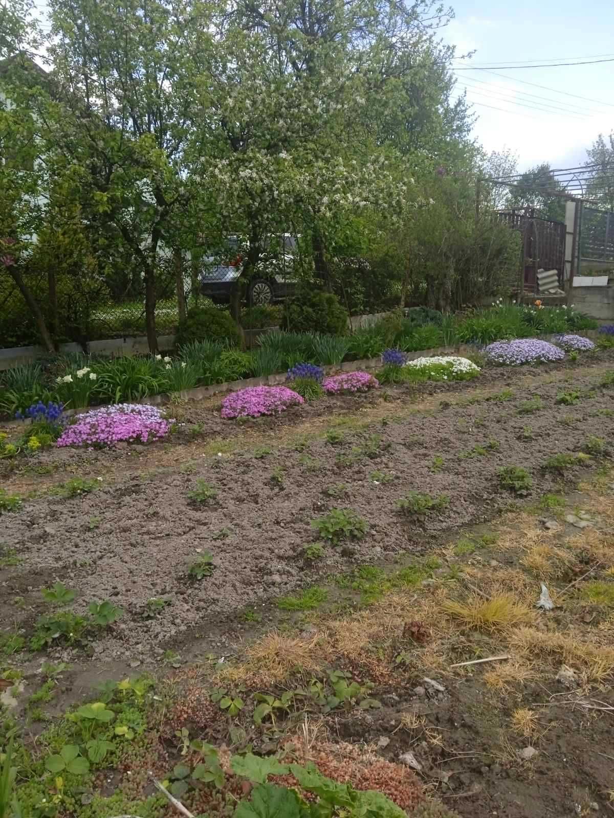 Продам дачу с. Рокитне Яворівський р-он