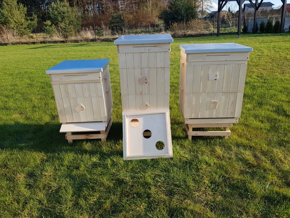 Ule wielkopolskie 10 ramkowe